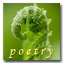 Poetry